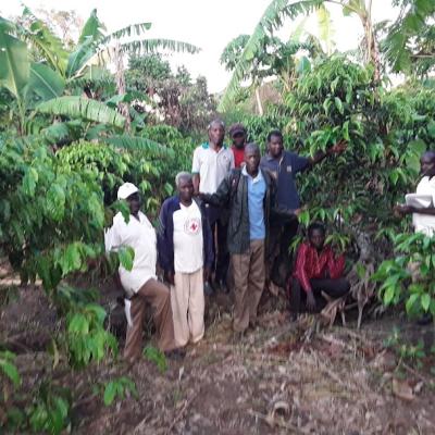 Field Evaluation Alero Nwoya